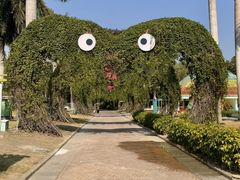 -东南花都花博园