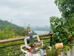 -深圳仙湖植物园