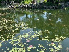 -无锡蠡湖国家湿地公园-蠡园