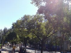 -杨庄(地铁站)