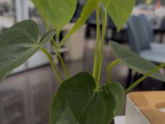 -眉州东坡(清河万象汇店)