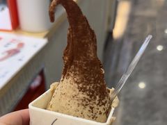 -野人先生现做冰淇淋(西安赛格店)