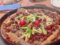 -老板恋上鱼(恒隆广场店)