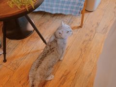 -不舍昼夜咖啡馆