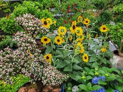-金陵花卉交易市场