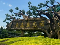 -长廊欢乐园