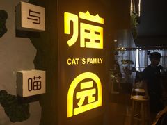 -喵园·猫主题咖啡厅·撸猫·猫咖(国贸店)