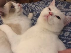 -默迹咖啡馆
