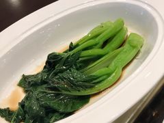 广东菜心-博悦茶餐厅(文殊院店)