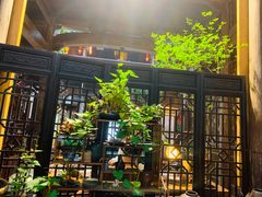 -普洱茶府(博乐广场店)