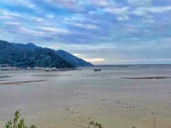 -北岐滩涂