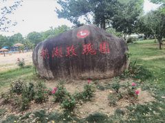 -鹅湖玫瑰文化园