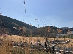 -龙洞风景区-藏龙涧