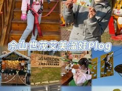-上海佘山世茂艾美酒店