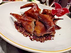 -朱记乳鸽王·非遗石岐乳鸽·全鸽宴(大兴旗舰店)