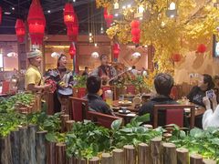 -老滇山寨•云南特色菜•地方菜•民族风情歌舞表演(金碧店)