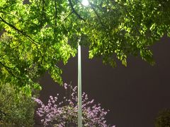 -文华公园(禅城区)