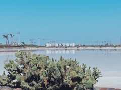 -莺歌海盐场