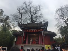 -武侯墓风景区