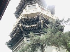 -盛世南宫影视城(北普陀影视城)