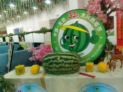 -西瓜小镇