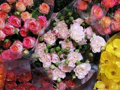 -大自然花鸟鱼虫市场