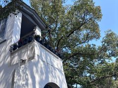 -上海佘山国家森林公园西佘山园