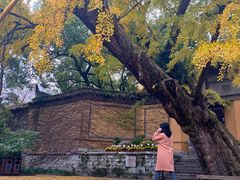 -无锡惠山寺