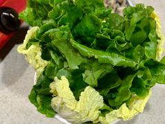 蔬菜拼盘-墨脱石锅椰子鸡•香草鸭•东山羊(大东海店)