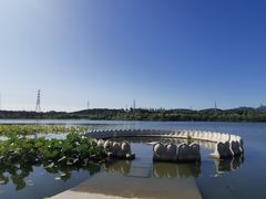 -永定河休闲森林公园