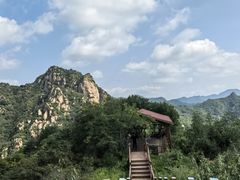 -大岭沟猕猴桃谷风景区