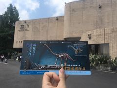 -自贡恐龙博物馆