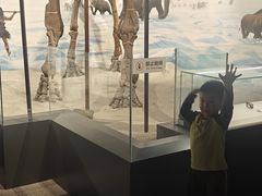 -辽宁古生物博物馆