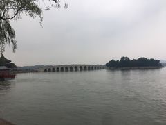 -茶大椰·椰子茶(星悦荟店)