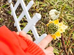 -上海滴水湖皇冠假日酒店