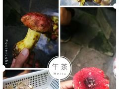 松茸鸡汤-龙姐私房菜(和顺古镇店)