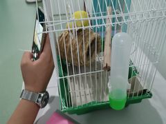 -北京观赏动物医院·24小时大型综合·猫专科·异宠专科