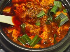 -陈麻婆豆腐总店