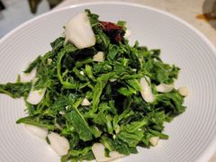 鲜百合桑嫩芽-紫光园(劲松店)