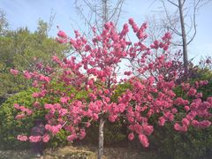 -中国钧瓷文化园