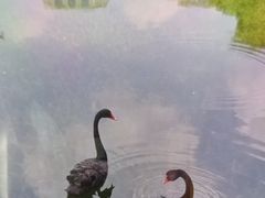 -荔湾湖公园