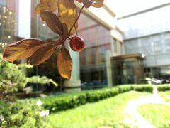 -青岛香格里拉中心办公大楼