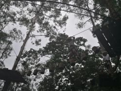 -成都飞越丛林(锦绣城园区)