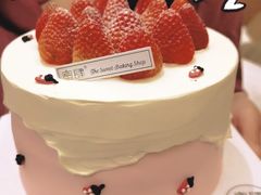 -蜜肆动物奶油蛋糕·个性定制·下午茶甜品