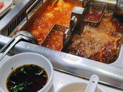 -海底捞火锅(吾悦国际广场店)