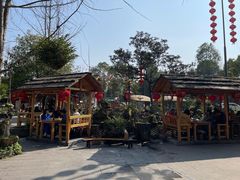 -青城甲(青城山店)