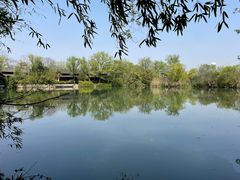 -西溪国家湿地公园