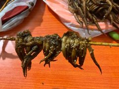 排须-十里铺铁板鱿鱼