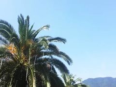 -宁波九龙湖开元度假村
