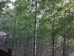 -陶祖圣境风景区